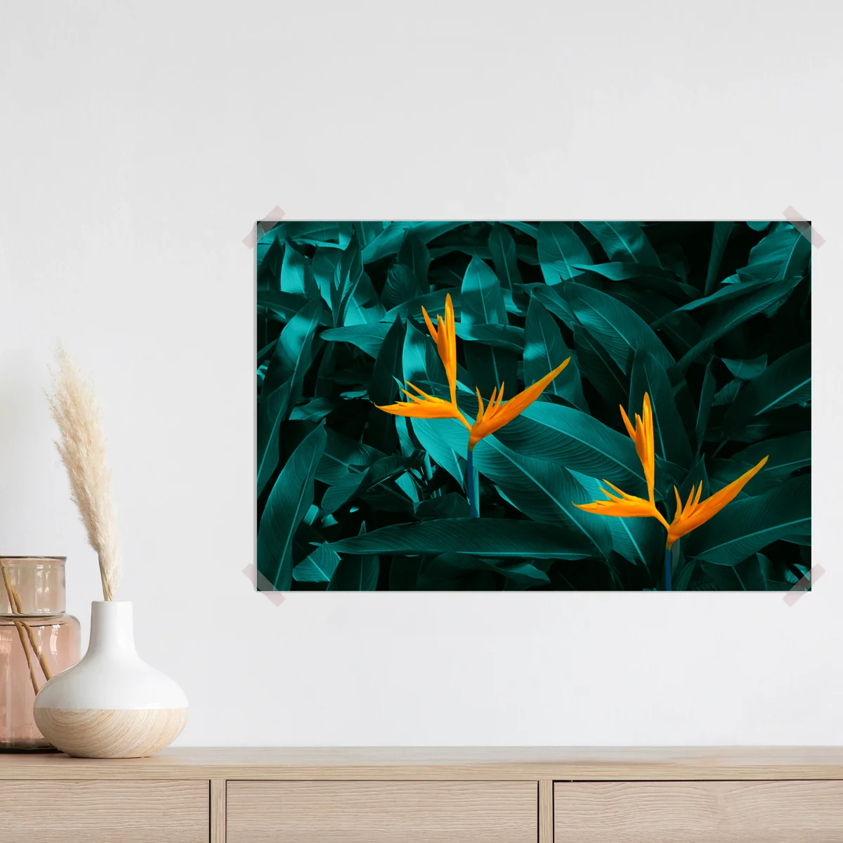 Poster tropische strelitzie auf türkisfarbenen blättern Poster tropische strelitzie auf türkisfarbenen blättern