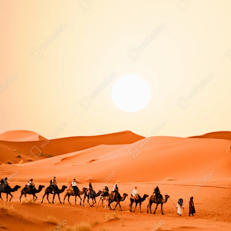 Kühlschrankaufkleber karawane von kamelen in der wüste bei sonnenuntergang Kühlschrankaufkleber karawane von kamelen in der wüste bei sonnenuntergang