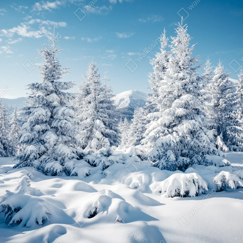 Fensteraufkleber winterruhe in den Karpaten Fensteraufkleber winterruhe in den Karpaten