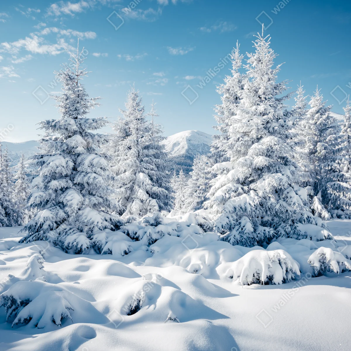 Fensteraufkleber winterruhe in den Karpaten Fensteraufkleber winterruhe in den Karpaten
