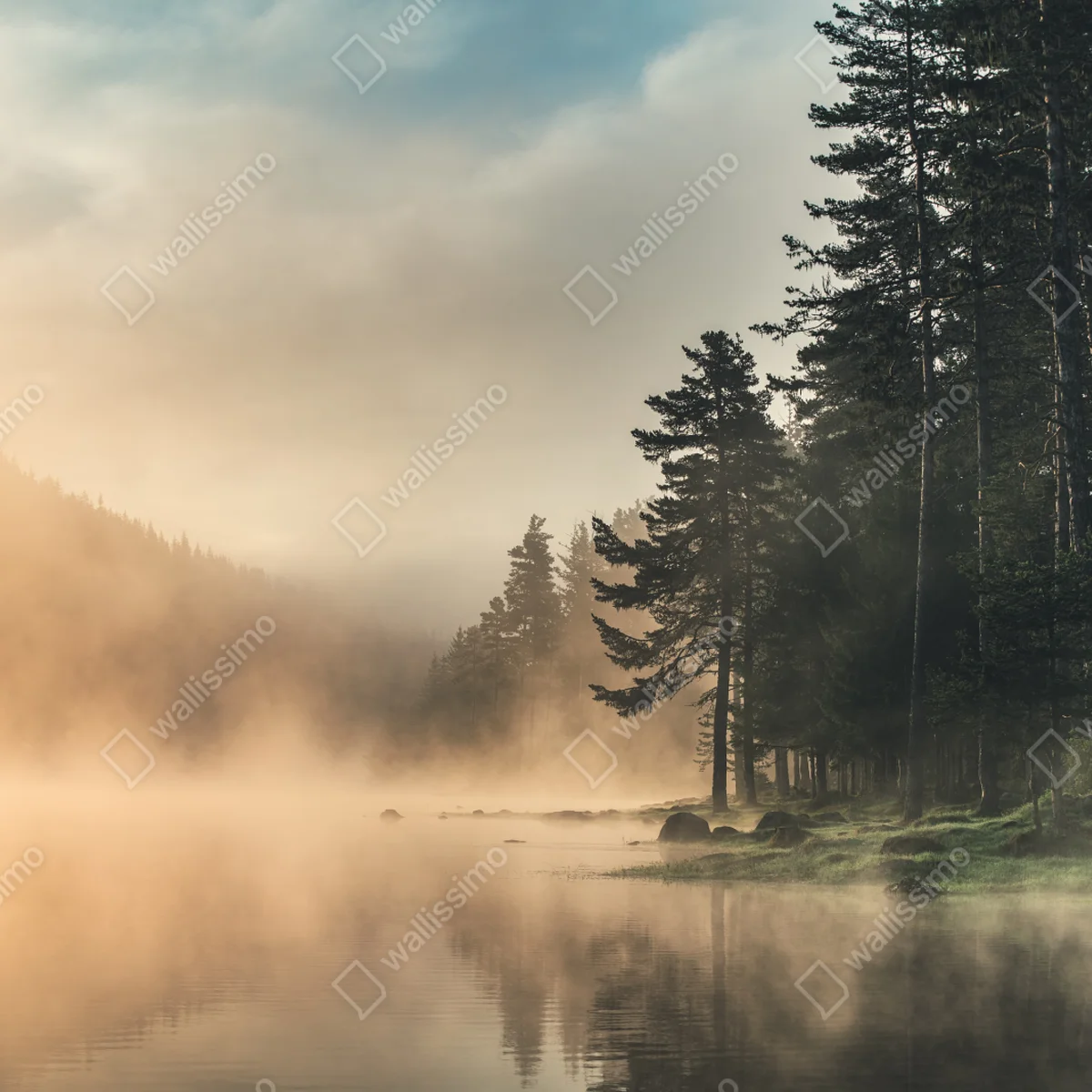 Repositionierbarer Aufkleber nebliger sonnenaufgang über waldsee Repositionierbarer Aufkleber nebliger sonnenaufgang über waldsee