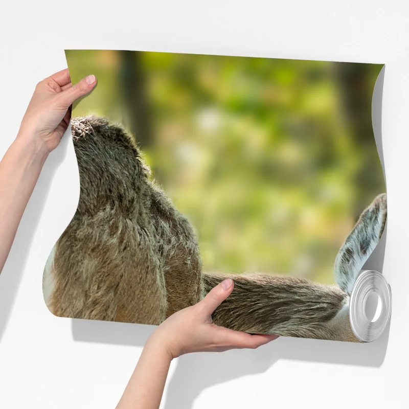 Fototapeta jeleń z cielakiem w zielonym lesie Fototapeta jeleń z cielakiem w zielonym lesie