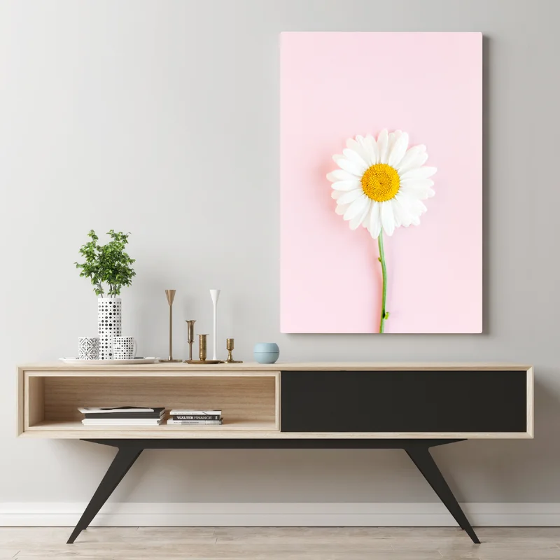 Leinwandbild weißes gänseblümchen auf pastellrosa hintergrund • Leinwandbilder bei Wallnifity® Leinwandbild weißes gänseblümchen auf pastellrosa hintergrund • Leinwandbilder bei Wallnifity®