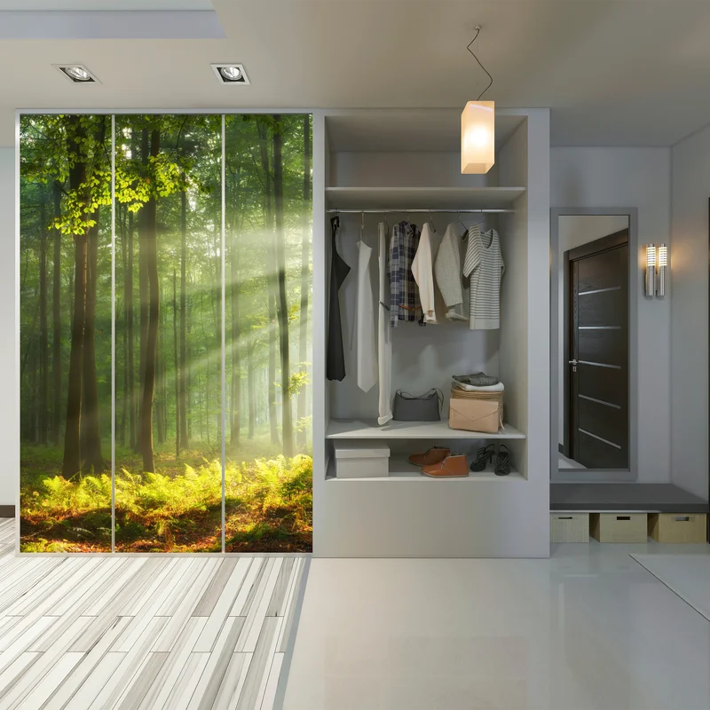 Schrankaufkleber sonniger morgenwald