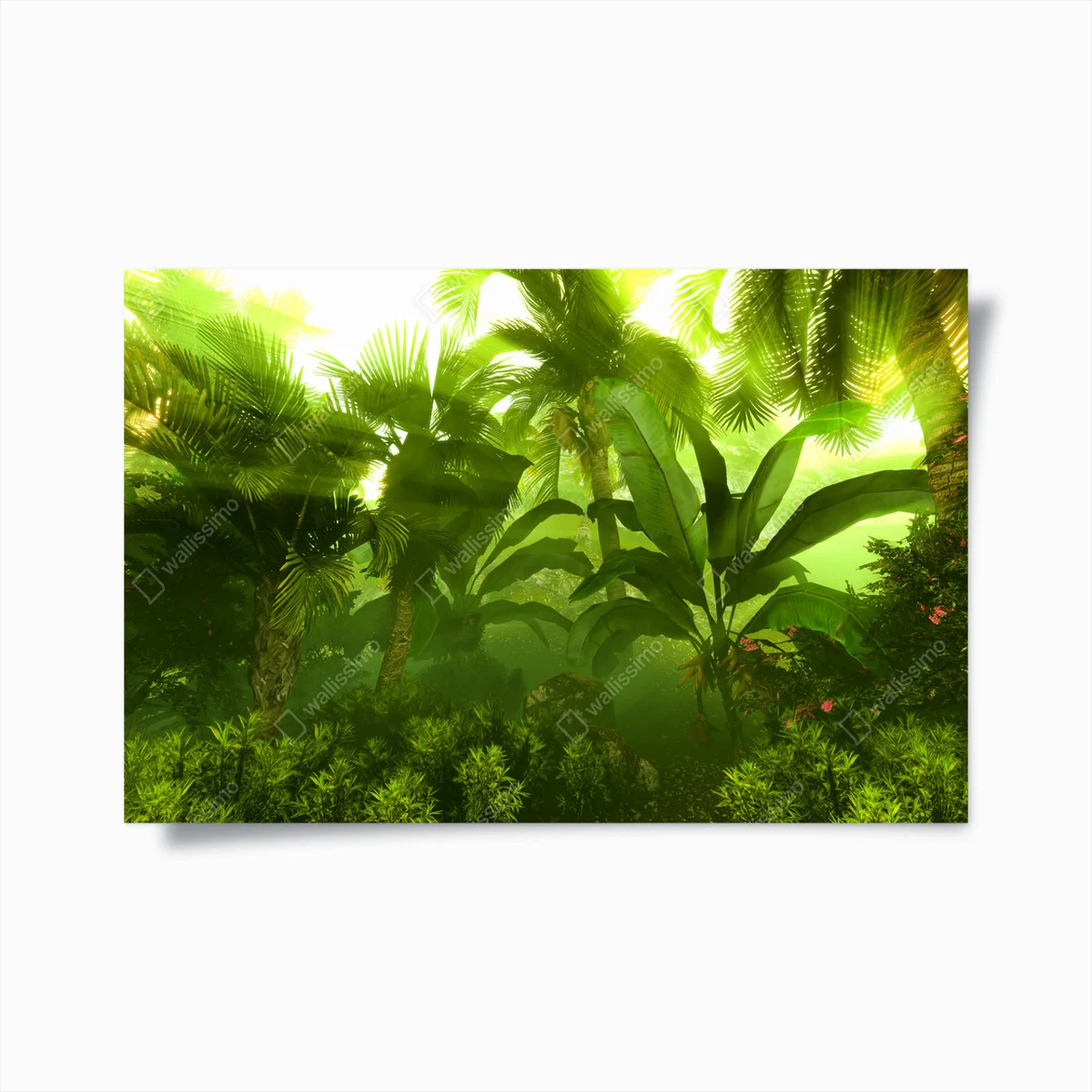 Poster Morgennebel im dichten tropischen Regenwald • Poster bei Wallnifity® Poster Morgennebel im dichten tropischen Regenwald • Poster bei Wallnifity®