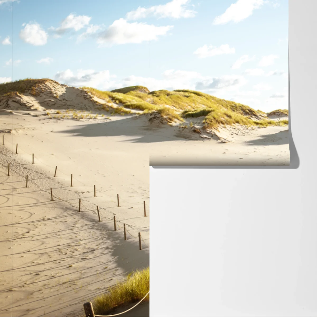 Fototapete ruhige dünen im Slowinski Nationalpark Fototapete ruhige dünen im Slowinski Nationalpark