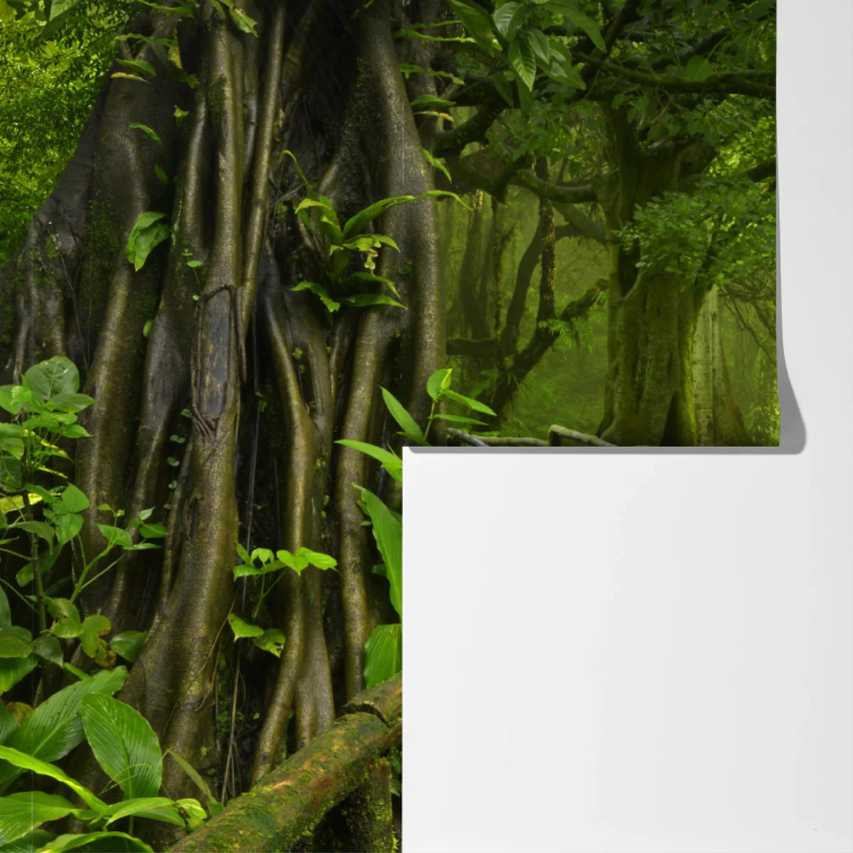 Fototapeta mglista kładka w tropikalnej dżungli Fototapeta mglista kładka w tropikalnej dżungli