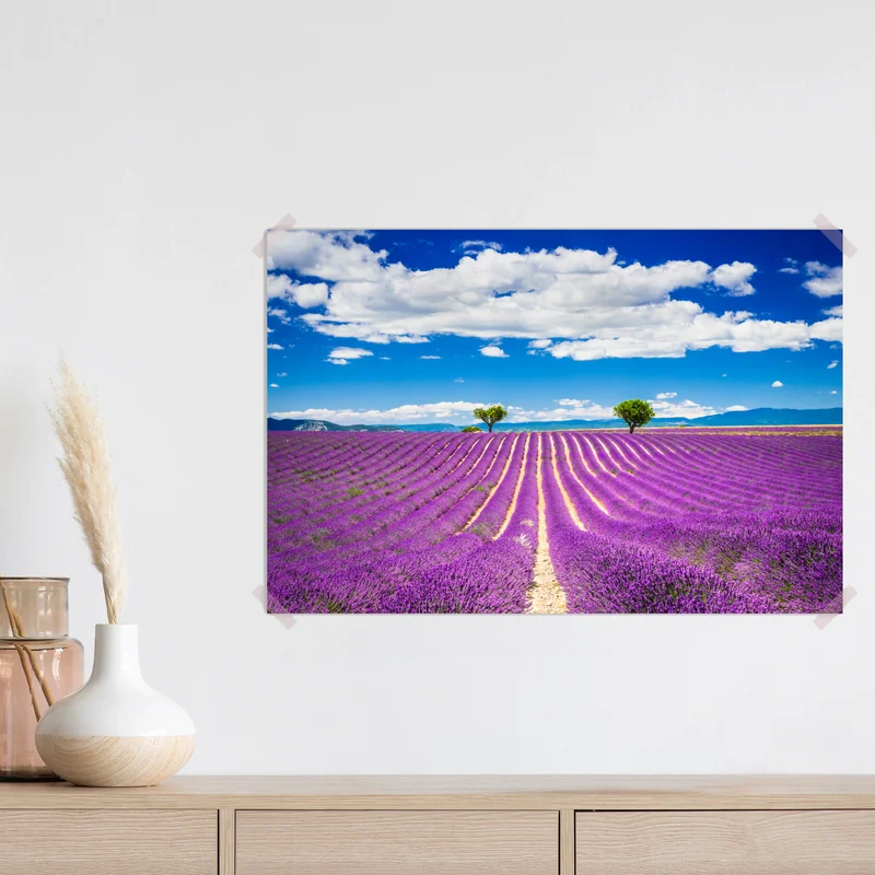 Poster lavendelfelder in Provence Poster lavendelfelder in Provence