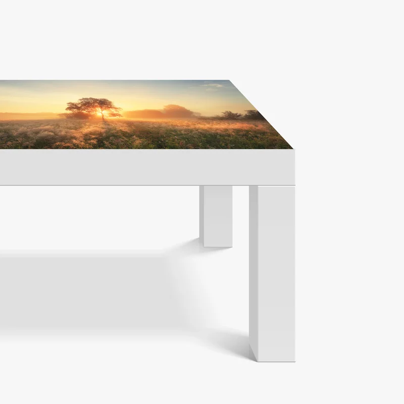 Tischaufkleber und Schreibtischaufkleber goldener sonnenaufgang über nebliger wiese