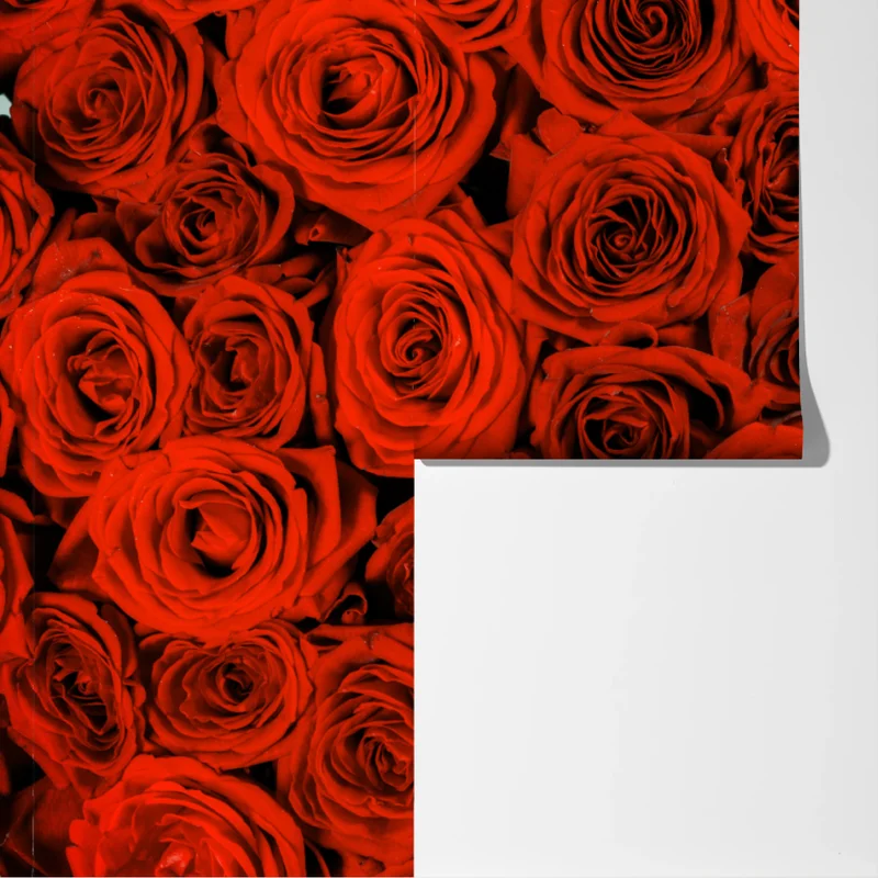 Fototapete prächtiger strauß roter rosen Fototapete prächtiger strauß roter rosen