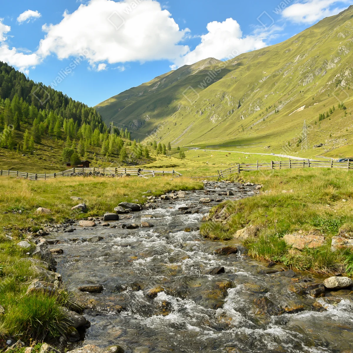 Fototapete alpenbach im sonnigen tal Fototapete alpenbach im sonnigen tal