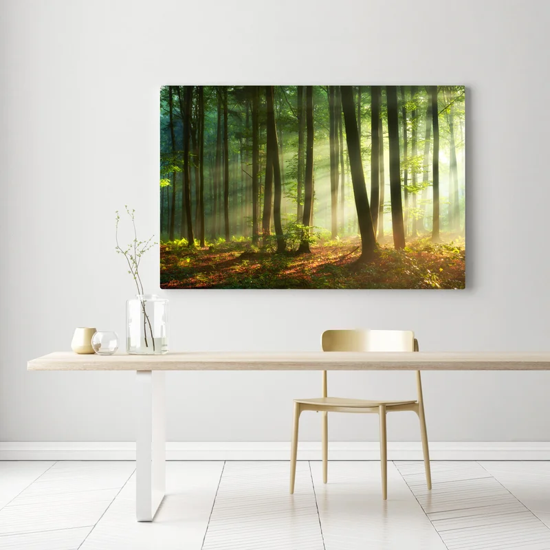 Leinwandbild sonnenbeschienener morgenwald Leinwandbild sonnenbeschienener morgenwald