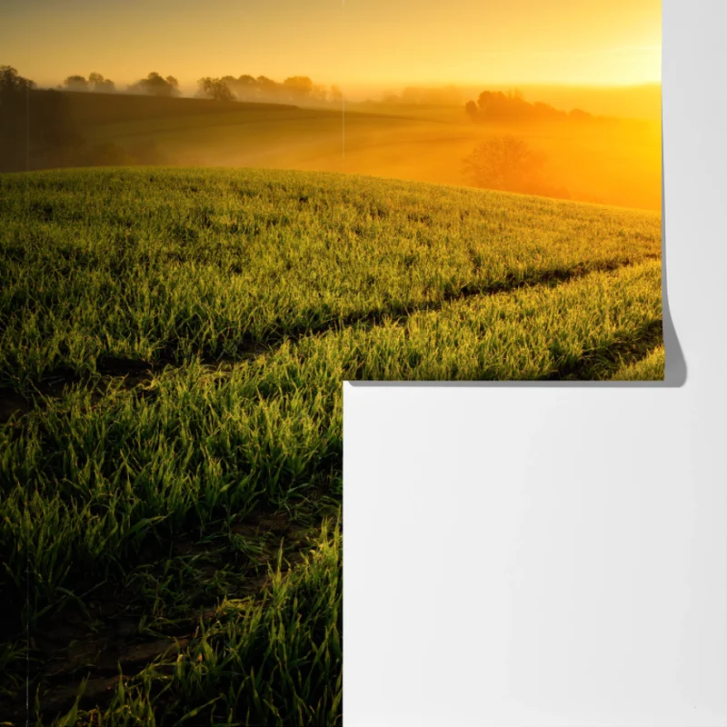 Fototapete sonnenbeschienene wiese im frühlicht Fototapete sonnenbeschienene wiese im frühlicht